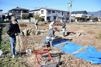 藁すぐりの様子その2 藁すぐりの様子その2